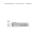 MODIFIED CASCADE RIBONUCLEOPROTEINS AND USES THEREOF diagram and image