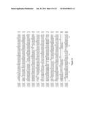 MODIFIED CASCADE RIBONUCLEOPROTEINS AND USES THEREOF diagram and image