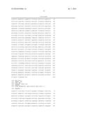 EXOGENOUS GENE EXPRESSION VECTOR, TRANSFORMANT DISCRIMINATION MARKER, AND     TRANSFORMANT diagram and image