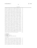 EXOGENOUS GENE EXPRESSION VECTOR, TRANSFORMANT DISCRIMINATION MARKER, AND     TRANSFORMANT diagram and image