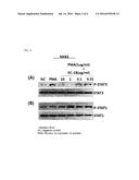 COMPOSITIONS CONTAINING MONOACETYLDIACYLGLYCEROL COMPOUND AS AN ACTIVE     INGREDIENT FOR PREVENTING OR TREATING RHEUMATOID ARTHRITIS diagram and image