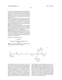 FACTOR VIII ZWITTERIONIC POLYMER CONJUGATES diagram and image