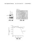 ANTI-Ly6E ANTIBODIES AND IMMUNOCONJUGATES AND METHODS OF USE diagram and image