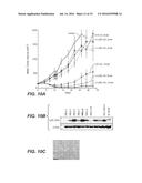 ANTI-Ly6E ANTIBODIES AND IMMUNOCONJUGATES AND METHODS OF USE diagram and image