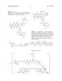 ANTI-Ly6E ANTIBODIES AND IMMUNOCONJUGATES AND METHODS OF USE diagram and image