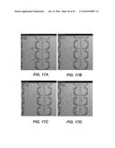 MOVEMENT AND SELECTION OF MICRO-OBJECTS IN A MICROFLUIDIC APPARATUS diagram and image