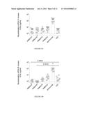 ANTIBODIES THAT POTENTLY NEUTRALIZE RSV AND USES THEREOF diagram and image