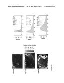 ELECTRONIC DEVICE GRADE SINGLE CRYSTAL DIAMONDS AND METHOD OF PRODUCING     THE SAME diagram and image