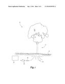 SYSTEMS AND METHODS FOR CONTROLLING PEST INFESTATION OF A WOODY PLANT diagram and image