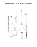 Animal Models and Therapeutic Molecules diagram and image