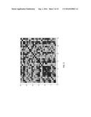 ELECTROCARDIOGRAM SIGNAL DETECTION diagram and image