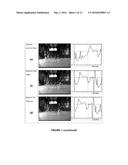 METHOD AND APPARATUS FOR MONITORING QUALITY OF A DYNAMIC ACTIVITY OF A     BODY diagram and image