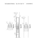 Methods of Treatment with Drug Eluting Stents with Prolonged Local Elution     Profiles with High Local Concentrations and Low Systemic Concentrations diagram and image