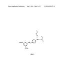 Tincture For Infusing Flavonoids And Methods Of Use diagram and image