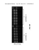 RAB7L1 INTERACTS WITH LRRK2 TO MODIFY INTRANEURONAL PROTEIN SORTING AND     PARKINSON S DISEASE RISK diagram and image