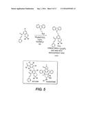 PKC Delta Inhibitors for use as Therapeutics diagram and image