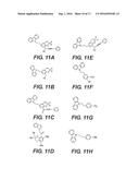 PKC Delta Inhibitors for use as Therapeutics diagram and image