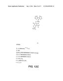 PKC Delta Inhibitors for use as Therapeutics diagram and image