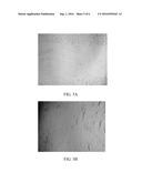 NICOTINAMIDE RIBOSIDE COMPOSITIONS FOR TOPICAL USE IN TREATING SKIN     CONDITIONS diagram and image