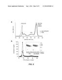 Uses Of Cyclic Peptides For Treating And Preventing AtherosclerosisUses of     Cyclic Peptides for Treating and Preventing Atherosclerosis diagram and image