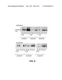 Uses Of Cyclic Peptides For Treating And Preventing AtherosclerosisUses of     Cyclic Peptides for Treating and Preventing Atherosclerosis diagram and image