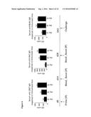 COMPOSITIONS AND METHODS FOR PROPHYLAXIS AND THERAPY OF CLOSTRIDIUM     DIFFICILE INFECTION diagram and image