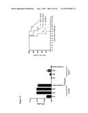 COMPOSITIONS AND METHODS FOR PROPHYLAXIS AND THERAPY OF CLOSTRIDIUM     DIFFICILE INFECTION diagram and image