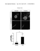 NERVE REGENERATING OR NERVE GROWTH-PROMOTING PHARMACEUTICAL COMPOSITION     CONTAINING VAX PROTEIN AS ACTIVE INGREDIENT diagram and image