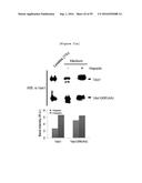 NERVE REGENERATING OR NERVE GROWTH-PROMOTING PHARMACEUTICAL COMPOSITION     CONTAINING VAX PROTEIN AS ACTIVE INGREDIENT diagram and image