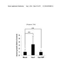 NERVE REGENERATING OR NERVE GROWTH-PROMOTING PHARMACEUTICAL COMPOSITION     CONTAINING VAX PROTEIN AS ACTIVE INGREDIENT diagram and image