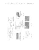 Galectin-3C Combination Therapy for Human Cancer diagram and image