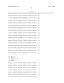 SCHMALLENBERG VIRUS (SBV) VACCINE, METHODS OF PRODUCTION, AND USES THEREOF diagram and image