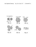 Biodegradable Magnetic Nanoparticles and Related Methods diagram and image