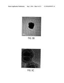 Biodegradable Magnetic Nanoparticles and Related Methods diagram and image