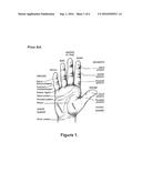 Hand Pad diagram and image