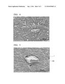 HOLLOW POROUS MEMBRANE diagram and image