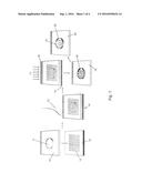 Microfluidic System Having Monolithic Nanoplasmonic Structures diagram and image