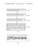 ANISOTROPIC ORGANIC THIN FILM AND ITS MANUFACTURING METHOD diagram and image