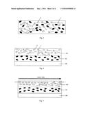 ANISOTROPIC ORGANIC THIN FILM AND ITS MANUFACTURING METHOD diagram and image