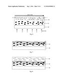 ANISOTROPIC ORGANIC THIN FILM AND ITS MANUFACTURING METHOD diagram and image