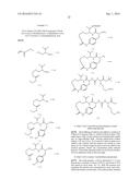 MACROCYCLIC UREA AND SULFAMIDE DERIVATIVES AS INHIBITORS OF TAFIA diagram and image