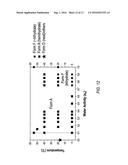 INHIBITORS OF INFLUENZA VIRUSES REPLICATION diagram and image