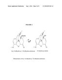 PROCESS FOR PREPARING OXYCODONE COMPOSITIONS diagram and image