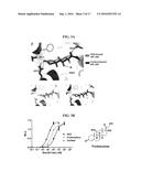 Highly Potent Glucocorticoids diagram and image