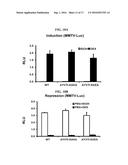 Highly Potent Glucocorticoids diagram and image