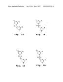 ANTIBACTERIAL ANTISENSE OLIGONUCLEOTIDE AND METHOD diagram and image