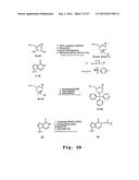 ANTIBACTERIAL ANTISENSE OLIGONUCLEOTIDE AND METHOD diagram and image