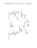 ANTIBACTERIAL ANTISENSE OLIGONUCLEOTIDE AND METHOD diagram and image