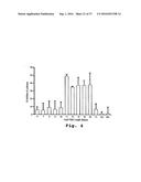 ANTIBACTERIAL ANTISENSE OLIGONUCLEOTIDE AND METHOD diagram and image