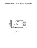 ANTIBACTERIAL ANTISENSE OLIGONUCLEOTIDE AND METHOD diagram and image